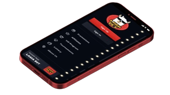 LamaBet Casino App Screenshot